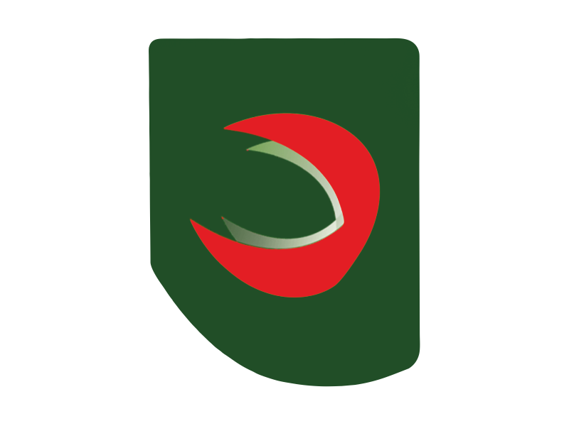 Zakázková samolepka - LAMINO STRONG baracuda P logo