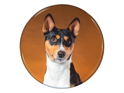 Samolepka - Basenji