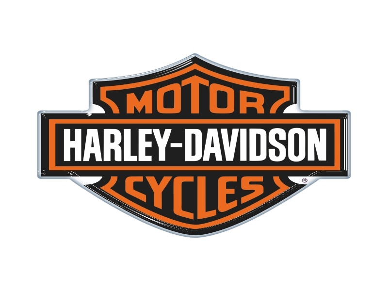 Zakázková  samolepka - Harley Davidson 170x100mm