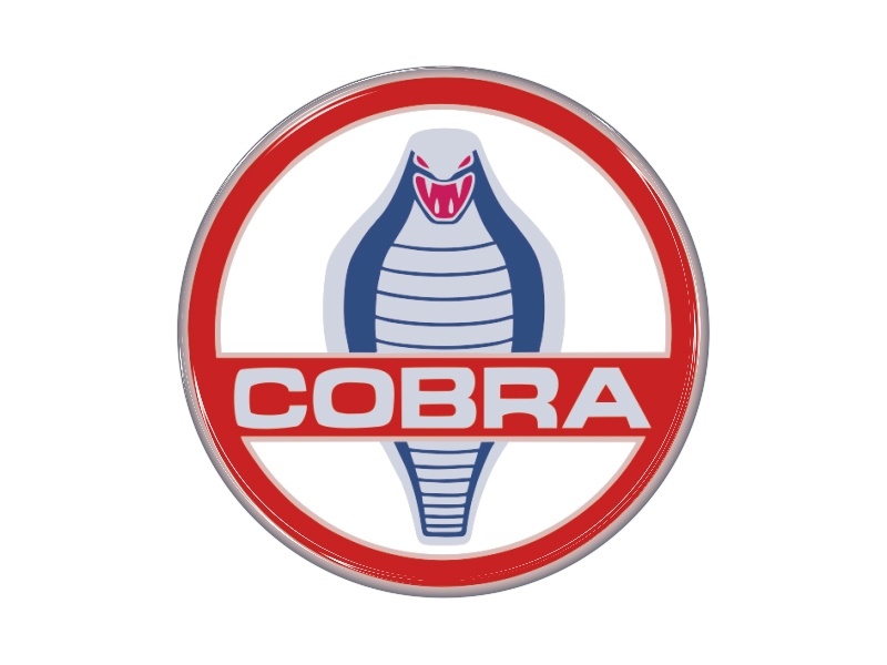 Zakázková  samolepka - Cobra 48