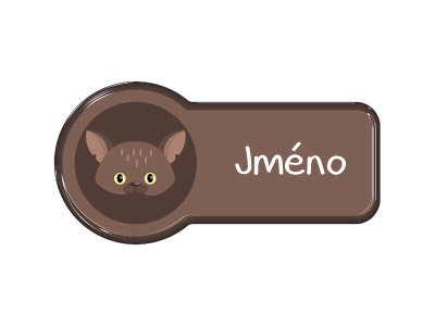 Samolepka - jméno s motivem netopýr