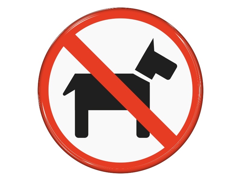 Samolepka - Zákaz vstupu psů