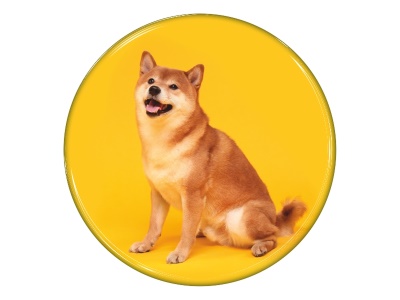 Samolepka - Shiba-Inu