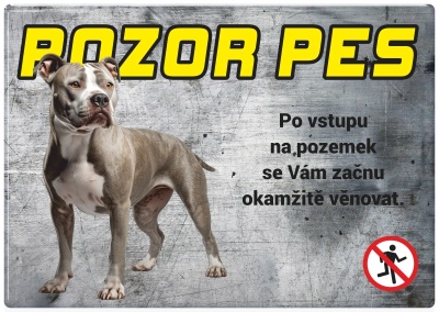 Pozor pes - Pitbull