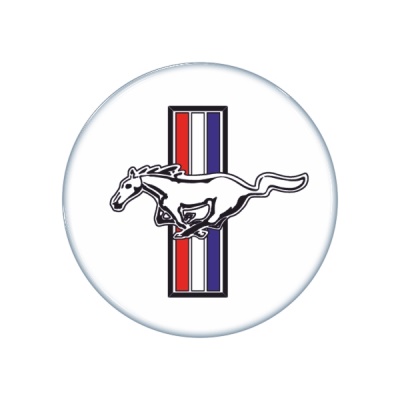 Zakázková samolepka - mustang white 64