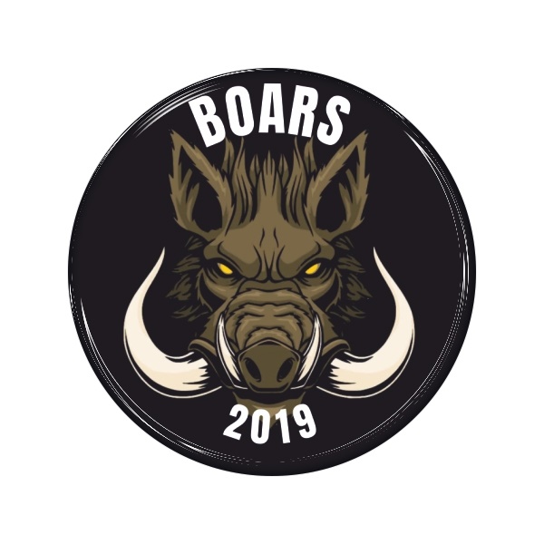 Zakázková samolepka - Boars 2019 60mm