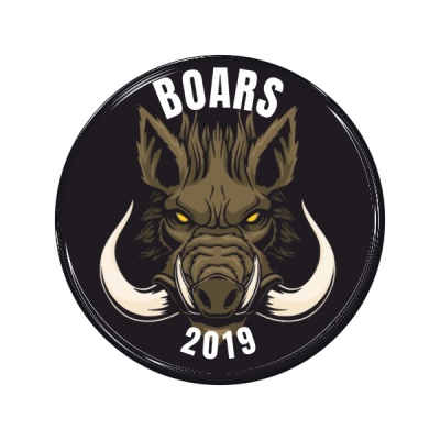 Zakázková samolepka - Boars 2019 60mm