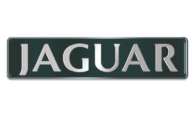 Zakázková samolepka - Jaguar