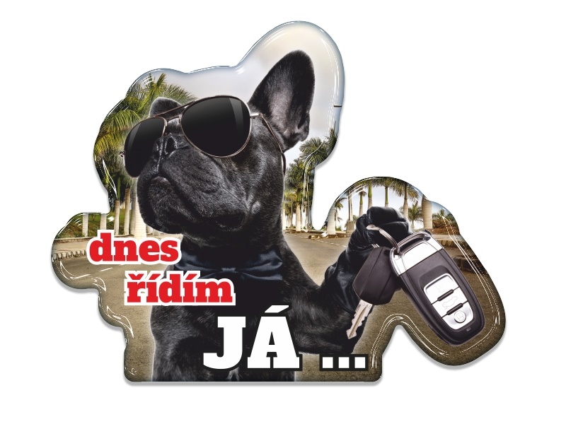 Samolepka - Dnes řídím JÁ
