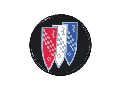 Zakázková samolepka - Buick 48mm