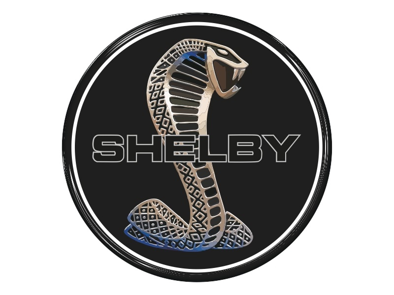 Samolepka na AL disk - Shelby