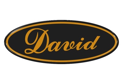 Zakázková  samolepka - David